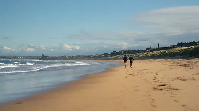 4. Lifestyle Beaches, Golf, and Dolphins